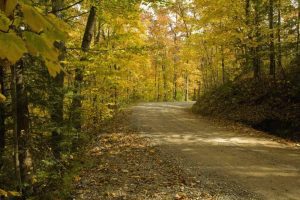 Cherokee National Forest during autumn