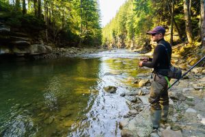 fishing license in Tennessee in the mountains