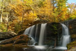 fall foliage in the Cherokee National Forest