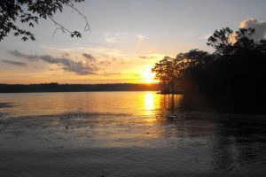 Harrison Bay State Park near Chattanooga TN