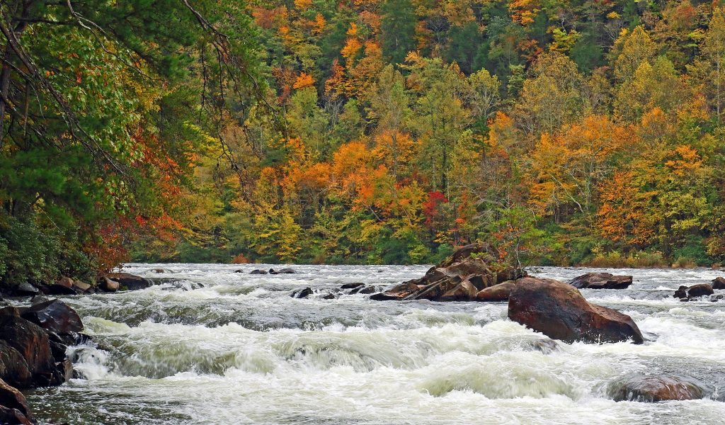 Fall Colors on the Ocoee River